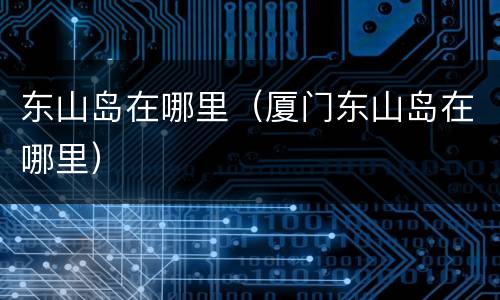 东山岛在哪里（厦门东山岛在哪里）