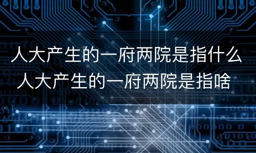 人大产生的一府两院是指什么 人大产生的一府两院是指啥