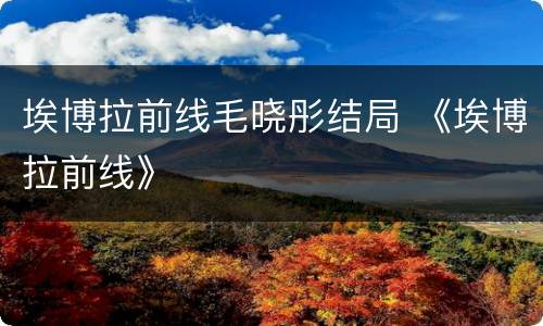 埃博拉前线毛晓彤结局 《埃博拉前线》