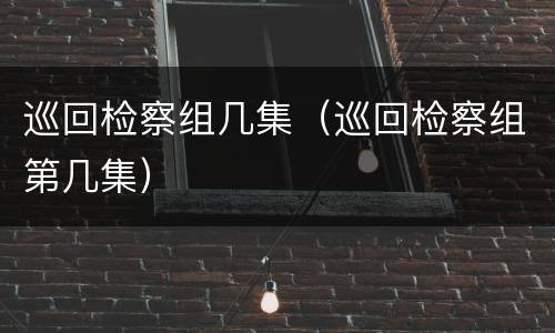 巡回检察组几集（巡回检察组第几集）