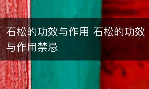 石松的功效与作用 石松的功效与作用禁忌