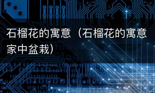 石榴花的寓意（石榴花的寓意家中盆栽）