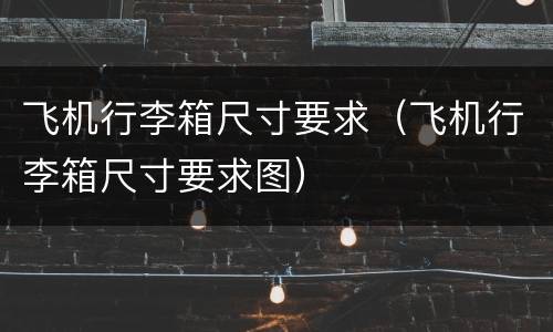 飞机行李箱尺寸要求（飞机行李箱尺寸要求图）