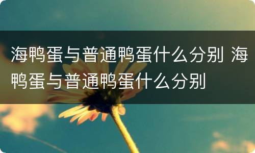 海鸭蛋与普通鸭蛋什么分别 海鸭蛋与普通鸭蛋什么分别