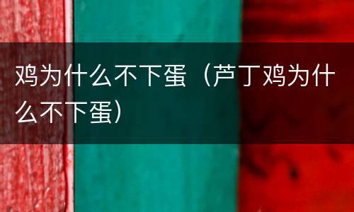 鸡为什么不下蛋（芦丁鸡为什么不下蛋）