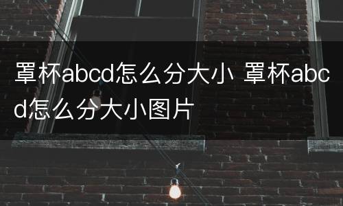 罩杯abcd怎么分大小 罩杯abcd怎么分大小图片