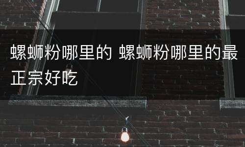 螺蛳粉哪里的 螺蛳粉哪里的最正宗好吃