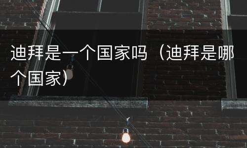 迪拜是一个国家吗（迪拜是哪个国家）