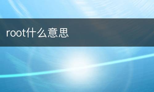 root什么意思