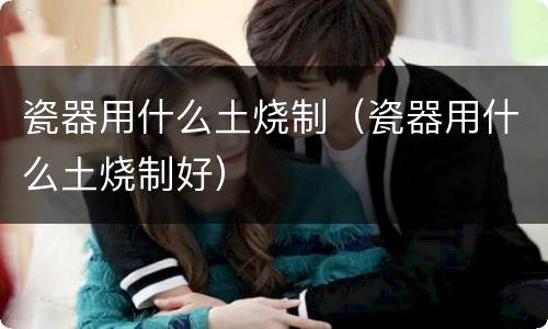 瓷器用什么土烧制（瓷器用什么土烧制好）