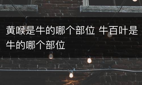 黄喉是牛的哪个部位 牛百叶是牛的哪个部位