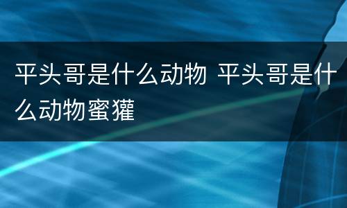 平头哥是什么动物 平头哥是什么动物蜜獾