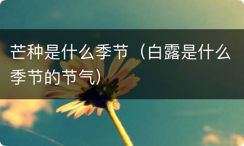 芒种是什么季节（白露是什么季节的节气）