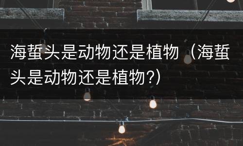 海蜇头是动物还是植物（海蜇头是动物还是植物?）