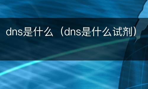 dns是什么（dns是什么试剂）