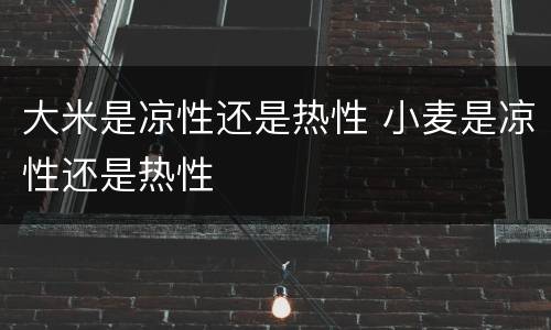 大米是凉性还是热性 小麦是凉性还是热性