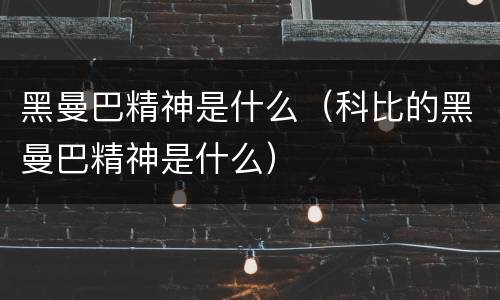 黑曼巴精神是什么（科比的黑曼巴精神是什么）