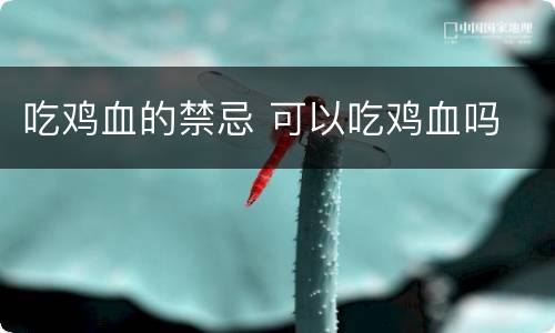 吃鸡血的禁忌 可以吃鸡血吗