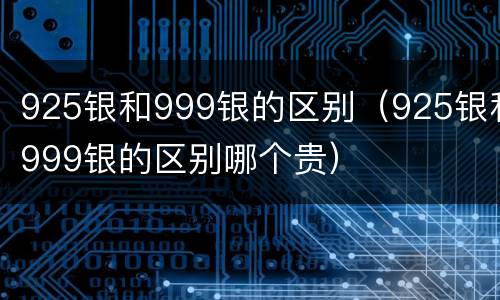 925银和999银的区别（925银和999银的区别哪个贵）