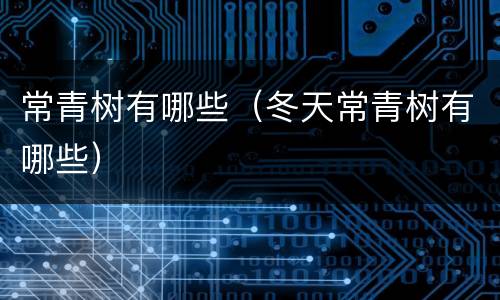 常青树有哪些（冬天常青树有哪些）