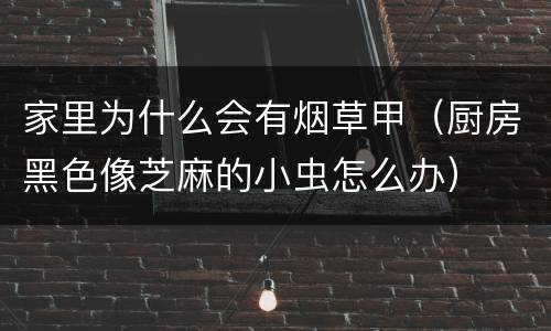 家里为什么会有烟草甲（厨房黑色像芝麻的小虫怎么办）