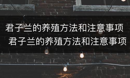 君子兰的养殖方法和注意事项 君子兰的养殖方法和注意事项君子兰浇水