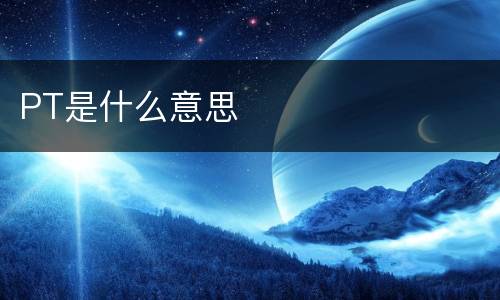 PT是什么意思