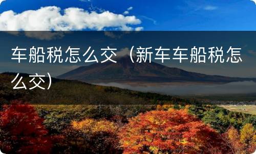 车船税怎么交（新车车船税怎么交）