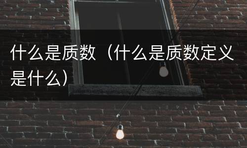 什么是质数（什么是质数定义是什么）