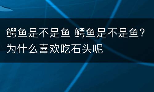 鳄鱼是不是鱼 鳄鱼是不是鱼?为什么喜欢吃石头呢