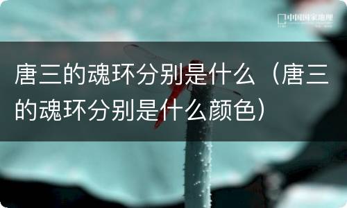 唐三的魂环分别是什么（唐三的魂环分别是什么颜色）