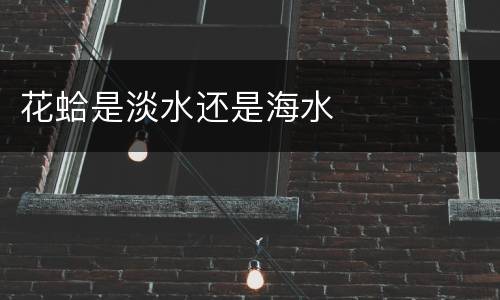 花蛤是淡水还是海水