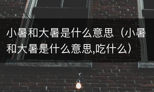 小暑和大暑是什么意思（小暑和大暑是什么意思,吃什么）