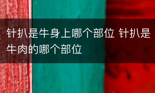 针扒是牛身上哪个部位 针扒是牛肉的哪个部位