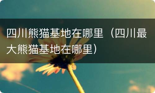 四川熊猫基地在哪里（四川最大熊猫基地在哪里）