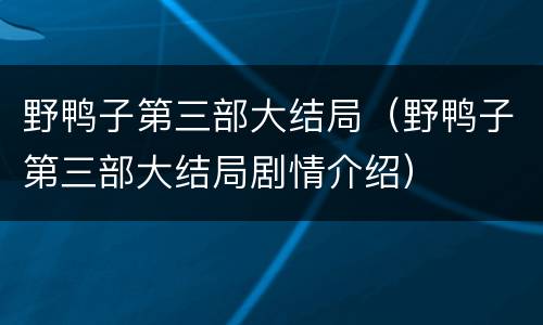 野鸭子第三部大结局（野鸭子第三部大结局剧情介绍）