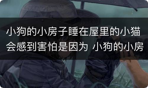 小狗的小房子睡在屋里的小猫会感到害怕是因为 小狗的小房子睡在屋里的小猫会感到害怕为什么