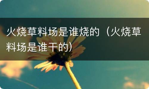 火烧草料场是谁烧的（火烧草料场是谁干的）