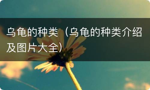 乌龟的种类（乌龟的种类介绍及图片大全）