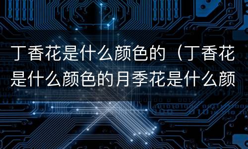 丁香花是什么颜色的（丁香花是什么颜色的月季花是什么颜色的）