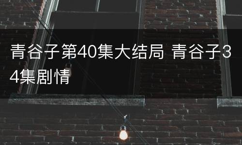 青谷子第40集大结局 青谷子34集剧情