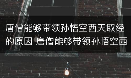 唐僧能够带领孙悟空西天取经的原因 唐僧能够带领孙悟空西天取经的原因?