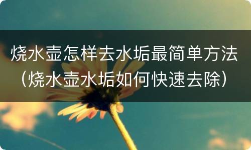 烧水壶怎样去水垢最简单方法（烧水壶水垢如何快速去除）