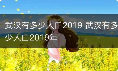 武汉有多少人口2019 武汉有多少人口2019年