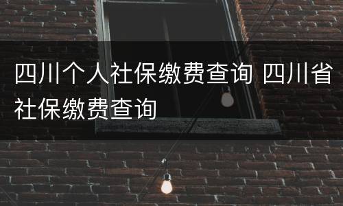 四川个人社保缴费查询 四川省社保缴费查询