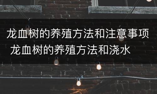 龙血树的养殖方法和注意事项 龙血树的养殖方法和浇水