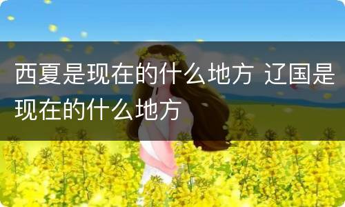 西夏是现在的什么地方 辽国是现在的什么地方