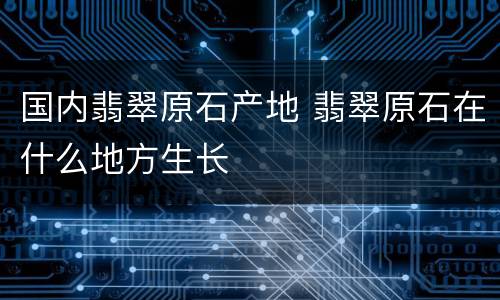国内翡翠原石产地 翡翠原石在什么地方生长