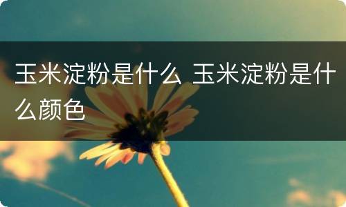 玉米淀粉是什么 玉米淀粉是什么颜色