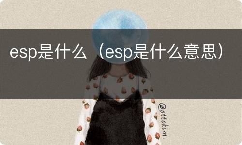 esp是什么（esp是什么意思）